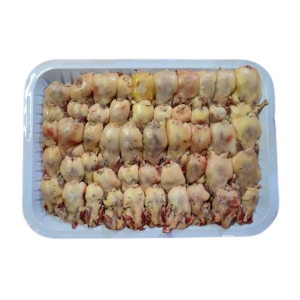 طيور الدخل صغير صحن