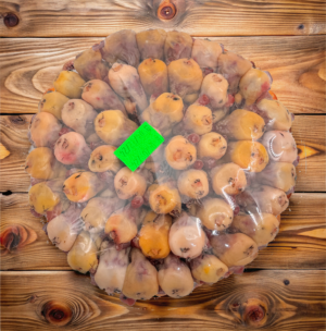 طيور الدخل